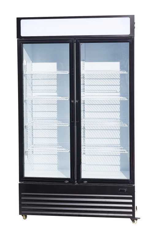 KOELKAST 2 GLASDEUREN 750L