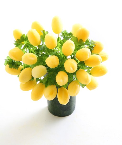 Meloenbolletjeslepel ovaal