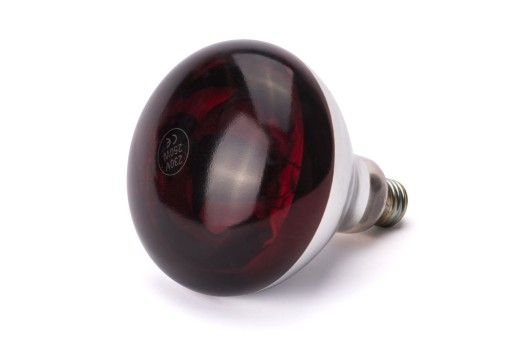 Infrarood warmtelamp