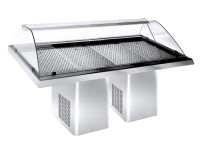 GEKOELDE VISVITRINE 2.3