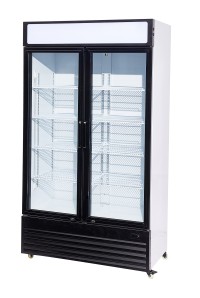 KOELKAST 2 GLASDEUREN 750L