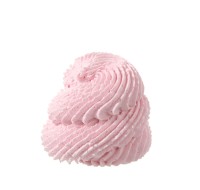 Decoratie spuitmondjes bloemen & blaadjes