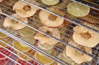 Voedseldroger Profi Line 10 trays