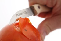 Schilmes met houten heft