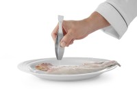 Vispincet platte bek