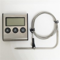 KERNTHERMOMETER MET TIMER