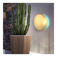 insectenvanger |10W|